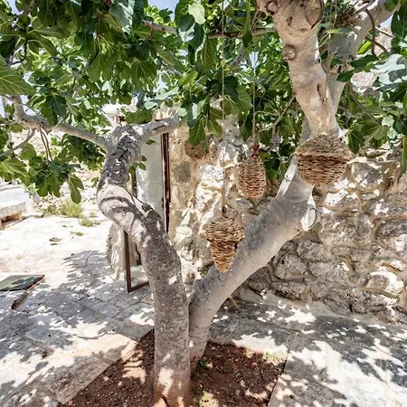 Trullo Santovia Alojamento de Acomodação e Pequeno-almoço