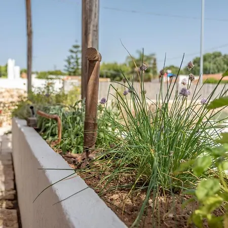 Trullo Santovia Sant Isidoro (Apulia)