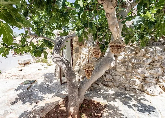 Trullo Santovia לינה וארוחת בוקר