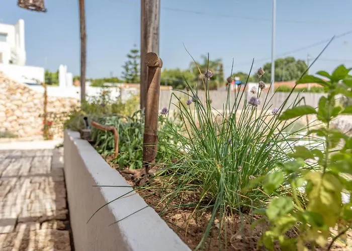 Trullo Santovia Sant Isidoro (Apulia)